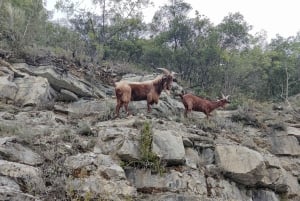 Escursione nella Valle della Vésubie da Nizza