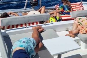 Villeneuve-Loubet: Katamaran-Tageskreuzfahrt für kleine Gruppen