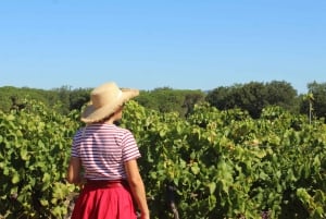 Vintage wine tour in Saint-Tropez