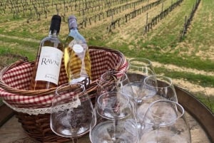Ruta del vino añejo en Saint-Tropez