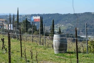 Visit and tasting at a Nice vineyard in Bellet