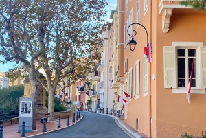 Guidad rundtur i de maritima alperna från Nice