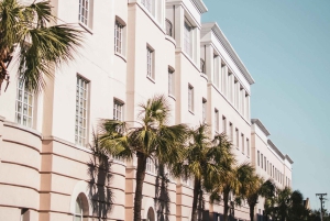 Guidet besøg i Nice med foto og video