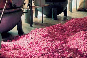 Heldagstur på vestkysten og landet