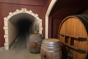 Degustazione di vini, Cannes, stilisti famosi e fabbrica di profumi