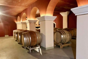 Degustazione di vini, Cannes, stilisti famosi e fabbrica di profumi