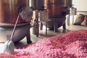 Degustazione di vini, Cannes, stilisti famosi e fabbrica di profumi