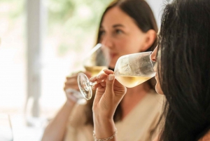 Niza Clase de cata de vinos en el centro de la ciudad