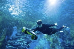 Yacht Me Up — частный круиз «все включено» Канны — Леринские острова