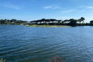 Yacht Me Up — частный круиз «все включено» Канны — Леринские острова