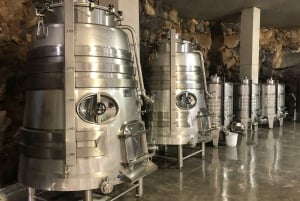 VISITA GUIADA EN BODEGA CONATVS CON CATA DE VINOS EN ESPAÑOL