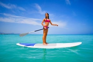 カレタ デ フステ : 1 時間のスタンド アップ パドル体験