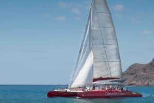 Caleta de Fuste: Catamaran Sailing Experience