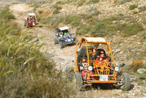 Caleta De Fuste: Guided Buggy Explorer Tour