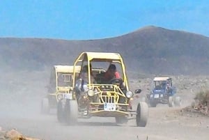 Caleta De Fuste: Guided Buggy Explorer Tour