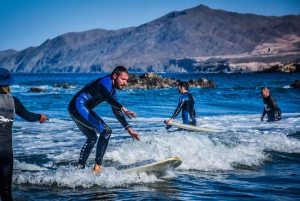 カナリア諸島：8名様までのグループ向けサーフィンレッスン（プライベート）
