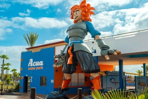 Corralejo : billet d'entrée au parc aquatique Acua