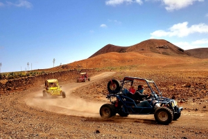 Corralejo: Buggy Safari Tour