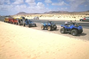 Corralejo: Buggy Safari Tour