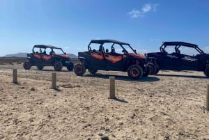 Buggy 4 pazas Corralejo Fuerteventura