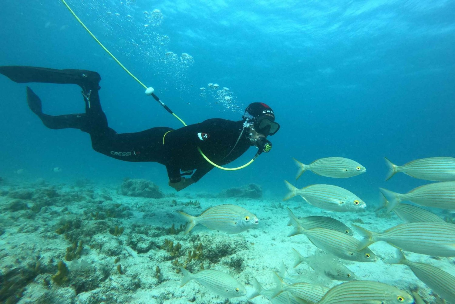 Corralejo: Lobos Island Beginner Dive Boat Tour and Snorkel