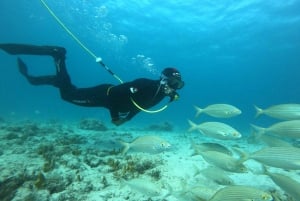 Corralejo: Lobos Island Beginner Dive Boat Tour and Snorkel