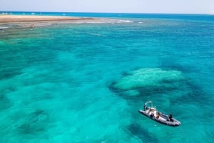 Corralejo: Lobos Island Beginner Dive Boat Tour and Snorkel
