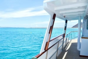 From Corralejo: Lobos Island Boat and Snorkel Activity