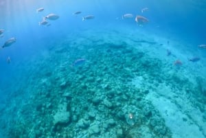 From Corralejo: Lobos Island Boat and Snorkel Activity