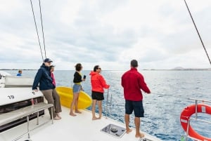 Corralejo: Lobos Island Catamaran Tour with Drinks & Snorkel