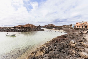 Corralejo: Lobos Island Catamaran Tour with Drinks & Snorkel