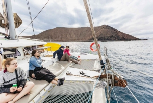 Corralejo: Lobos Island Catamaran Tour with Drinks & Snorkel