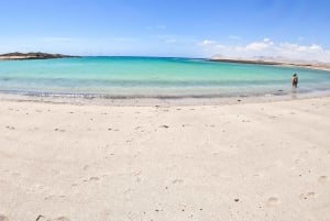 Corralejo: Roundtrip Ferry to Lobos Island with Entry Pass