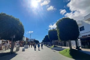 Corralejo: Vandringstur med provsmakning av lokala produkter