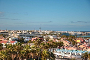 Corralejo: Vandringstur med provsmakning av lokala produkter