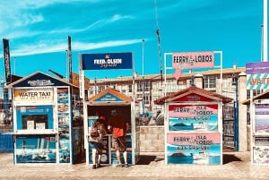Corralejo : visite à pied avec boisson sur un toit au coucher du soleil