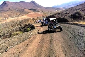 Costa Calma: Buggy Safari