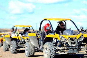 Costa Calma: Buggy Safari