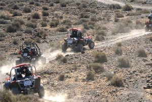 Costa Calma: Buggy Safari