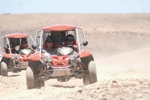 Costa Calma: Buggy Safari