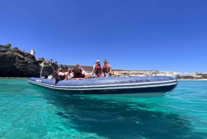 Costa Calma: Fuerteventura Dolphin Watching Zodiac Boat Tour