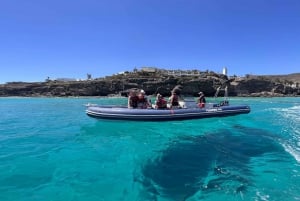 Costa Calma: Fuerteventura Dolphin Watching Zodiac Boat Tour