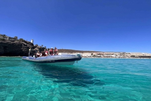 Costa Calma: Fuerteventura Dolphin Watching Zodiac Boat Tour