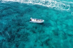 Costa Calma: Fuerteventura Dolphin Watching Zodiac Boat Tour