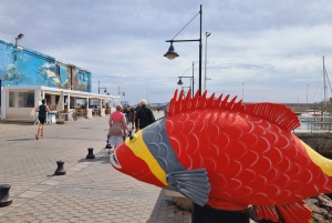 Traslado desde Caleta de Fuste a Corralejo con Tiempo Libre