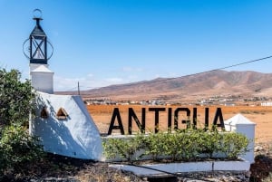 From Caleta de Fuste: Explore Rural Fuerteventura Tour