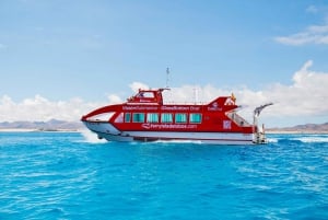 From Caleta de Fuste: Return Bus and Ferry to Lobos Island