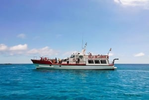 From Caleta de Fuste: Return Bus and Ferry to Lobos Island