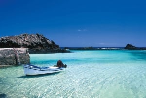 From Caleta de Fuste: Return Bus and Ferry to Lobos Island