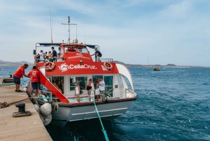 From Corralejo: Round-Trip Ferry Transfer to Lobos Island